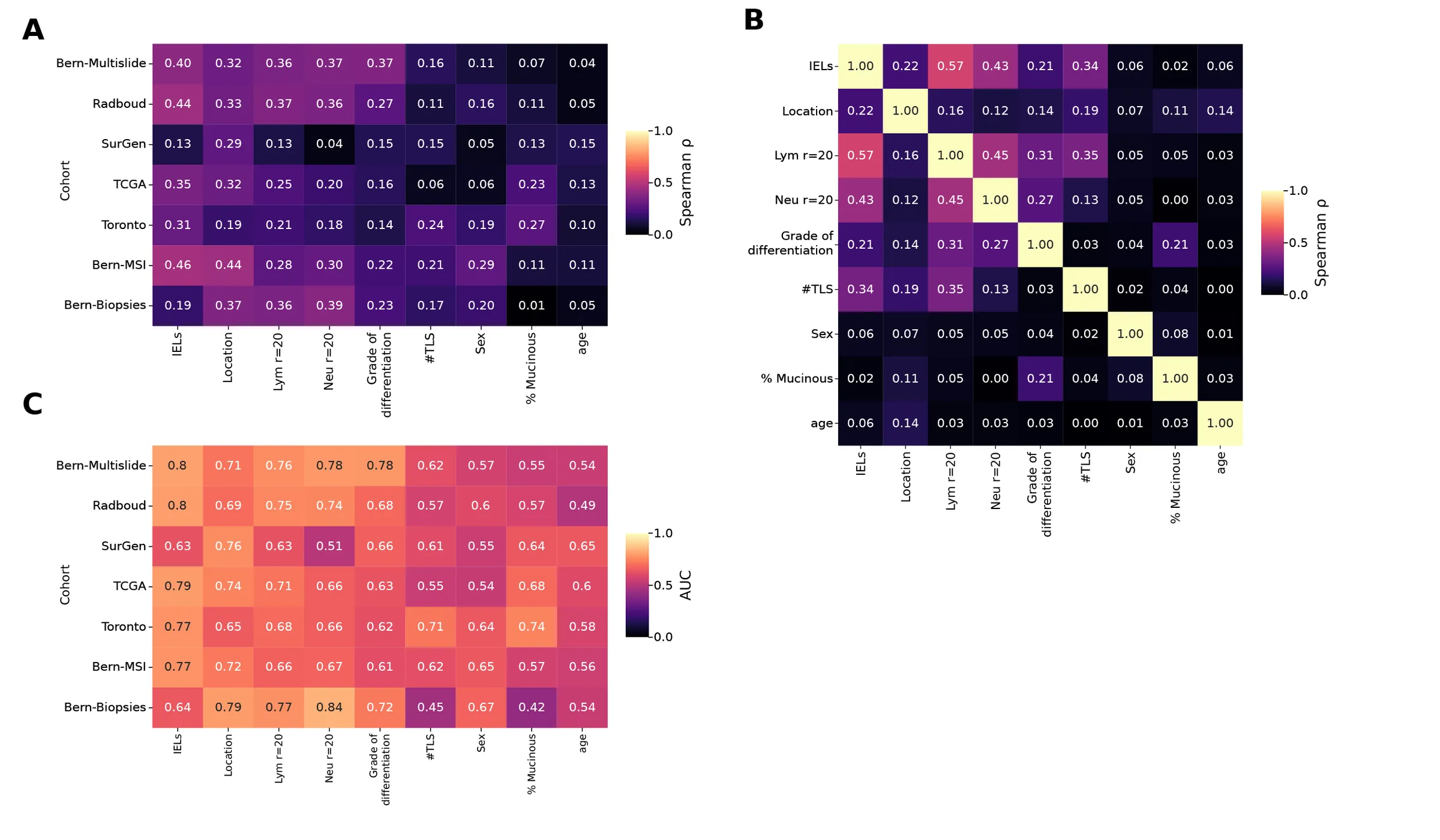 Cross-cohort performance
