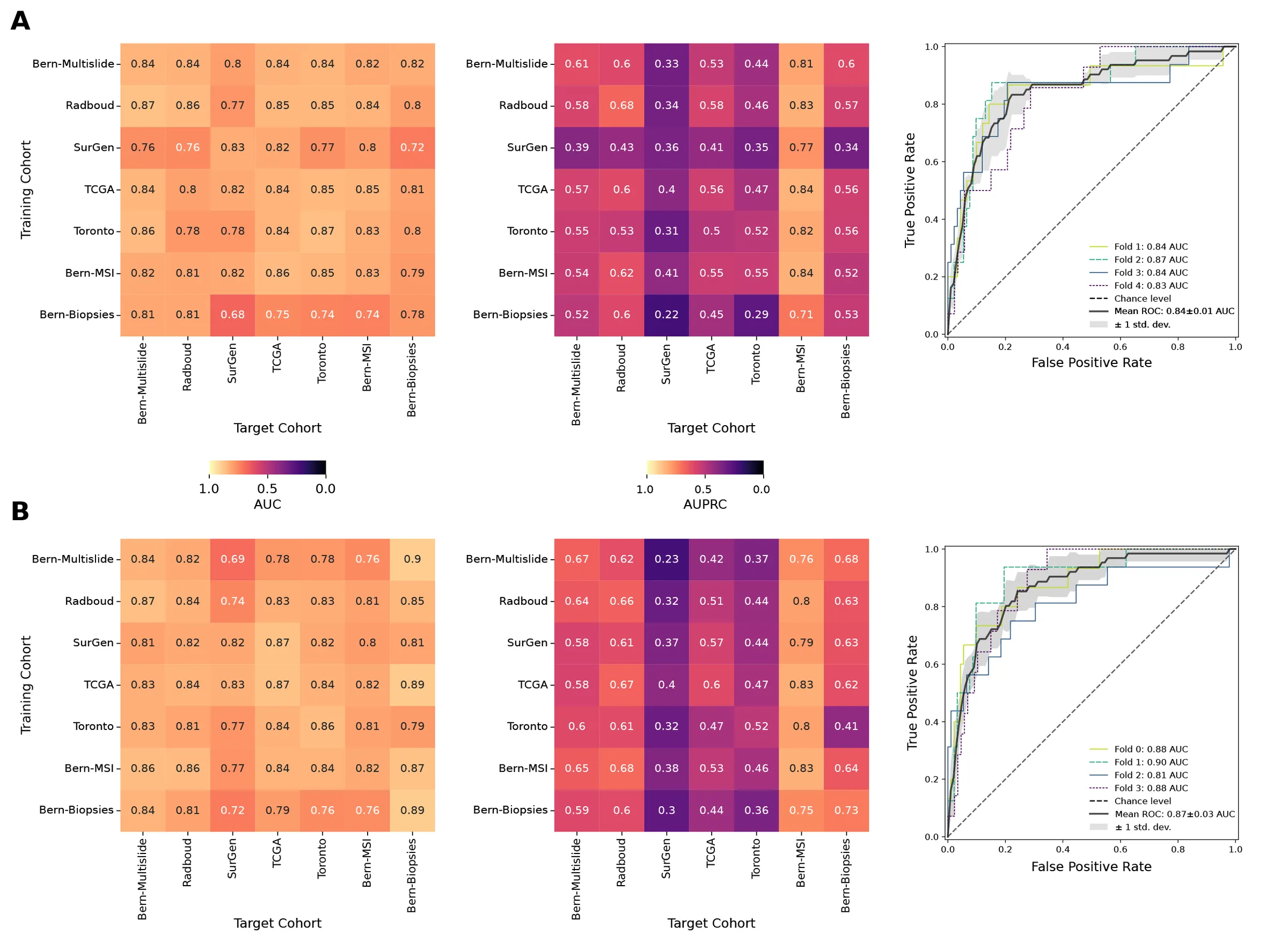 Feature correlations
